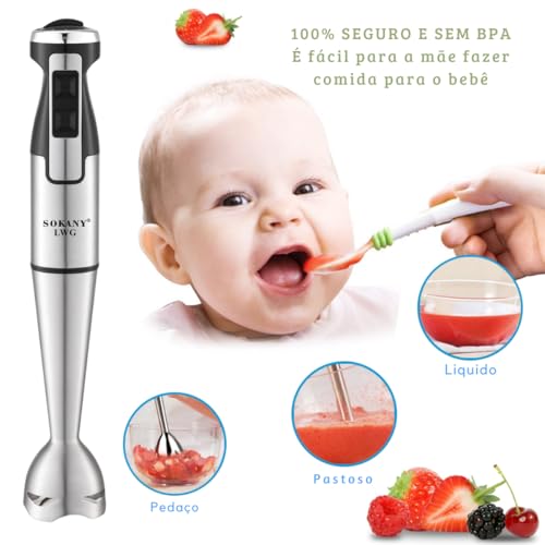 Mixer de Mão 1000W Vertical Turbo Whey Bebidas Sopas 110/220V (Prata 220V)