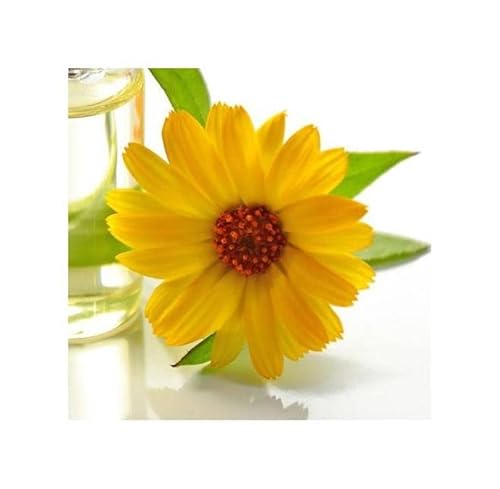 Pcs - 25x Souci Orange Eko Calendula Jardin Plantes - Graines KS157 - Seeds & Plants Shop by Ipsa