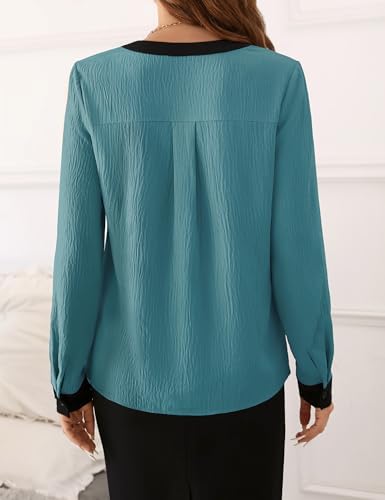 Fayenne Womens Tops Dressy Casual V Neck Color Block Business Casual Blouses Long Sleeve Work Shirts Fall Trendy Clothes