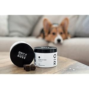 Slow Your Wag Calming Beef Dog Chews - 30 Chews - Hemp Dog Chews for Hyper Dogs + Puppies - Human Grade Ingredients Slow Your Wag Calming Beef Dog Chews – 30 Chews – Hemp Dog Chews for Hyper Dogs + Puppies – Human Grade Ingredients