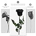 Yamonic Preserved Flowers Rose Gifts for Women Mom, Mothers Day Rose Gifts for Mom, Forever Real Flower Birthday Mom Gifts for Her, Women, Grandma,Girlfriend,Wife Gifts for Anniversary Wedding(Black)