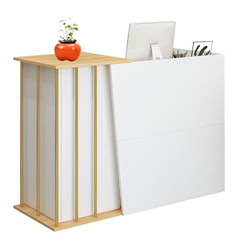 GAOXIAO Mostrador de Recepción Gabinete de Cajero con Cerradura Cajón, Mueble Recepción Mostradores para Tiendas, con Espacios de Almacenamiento, para Oficina Clínica Vestíbulos Bar B 120 cm