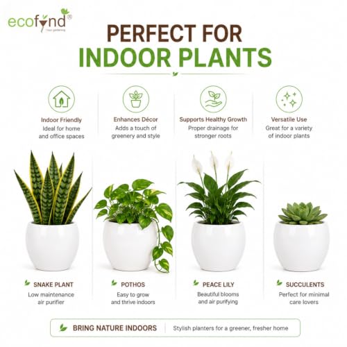 Image of ecofynd 5.1 Inch Ceramic Plant Pots with Drainage Hole, Modern Decorative Clay Flower Pots for Indoor Plants, Home Garden Decor for Living Room, Bedroom & Interior Spaces (Pack of 2, CPOT047-WHT)