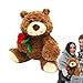 Oso Que Sostiene Rosa, Peluche Oso De San Imagen de Oso Que Sostiene Rosa, Peluche Oso De San