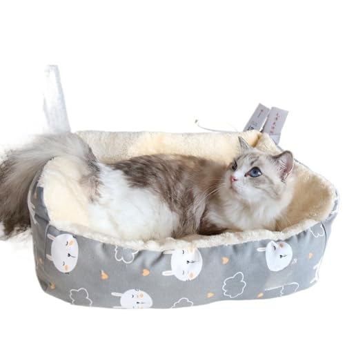 AOPIPI ybg}bgALpxbhA~߁AXgbvtAXgbvŒAӂӂȁAo[VuA_炩KAʋCA\AʔNgp\ALA (C,S)