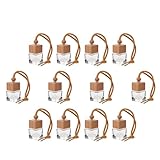 Abaodam 12 Stück Hängende Auto Parfümflakons und Glas Aromatherapie Duftanhänger für Innenraum Duftspender zur Luftauffrischung im Auto und Büro