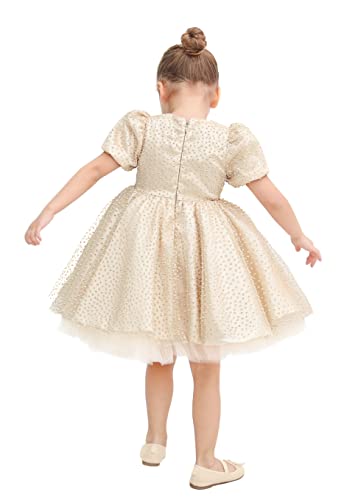 Lilax Little Girls Glitter Tulle Dress, Sparkle Polka Dots Princess Gown3