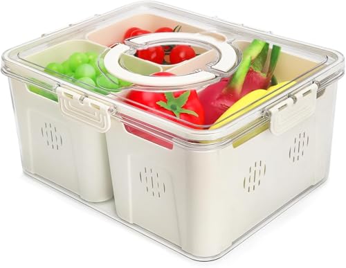 Image of Vasukie Divided Fridge Storage Boxes With 4 Serving Veggie Tray with Lid and Handle, Fridge Organizer with Removable 4 Compartment, Fridge Storage Containers (3 Large Compartment-1PC)