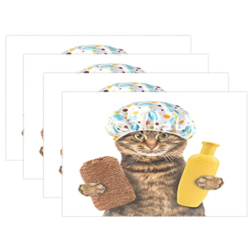 Place Mats - Juego de 6 manteles individuales rectangulares de 30,5 x 45,7 cm Cover