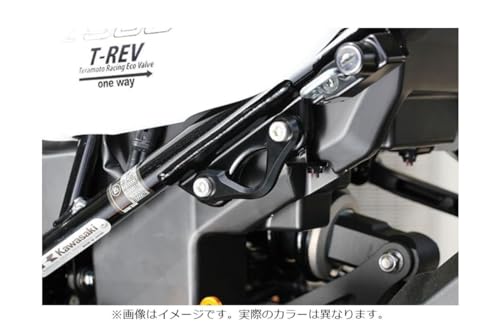 xr[tFCX(BABY FACE) [VOtbN S[h Z900RS 005-FK007GD