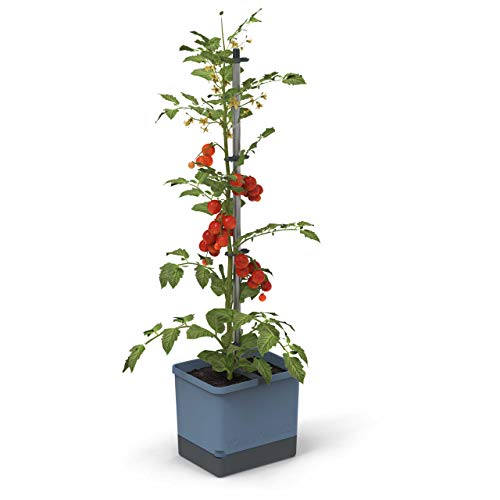 GUSTA GARDEN Tom Tomato - Tomatentopf - 4,5 L Wassertank Bewässerungssystem - Rankhilfe - Befestigungshaken - 20 L Erdvolumen - Kletterpflanzen - Pflanzkübel Pflanzgefäß Blumentopf Pflanzturm (Blau)