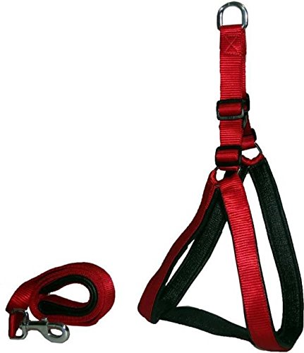 See full amazon price history chart for Skora Dog Harness & Leash (0.75 Inch, Red) Skora Dog Harness & Leash (0.75 Inch, Red) (B07BNHK1TR) Amazon Price History, Amazon Price Tracker