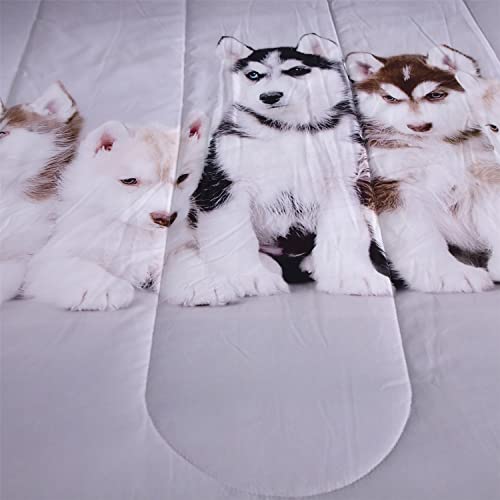 3 Pieces Lovely Siberian Husky Dogs Print 3D Comforter Sets Full Size Bedding For Teen Boys Adult Down Alternative Quilts Lightweight Bedspread Gray Blankets (Tpbd-06, Full) #TOP5
