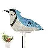 SHUZHENG Capteur d'alarme en Forme d'oiseau, testeur d'humidité du...