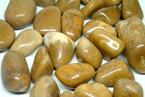 Image of Pebbles for Decoration - Pebbles for Plants Pots - Decorative Stones and Pebbles (1.9 Kgs, Brown Pebbles)