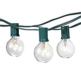 Bella Inizio G40 Clear Globe String Light Bulbs with 25 Clear Bulbs Best Outdoor Bistro Lights, Garden Party, Backyard Patio Lighting. (Green)