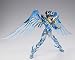 Saint Cloth Myth Pegasus Seiya God Cloth-10th Anniversary Edition-