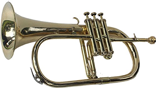 SALE BRAND NEW BRASS Bb FLUGEL HORN+FREE CASE+MOUTHIPICE+FAST SHIPPING