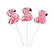 Flamingo Swirl Lollipops - 12 ct