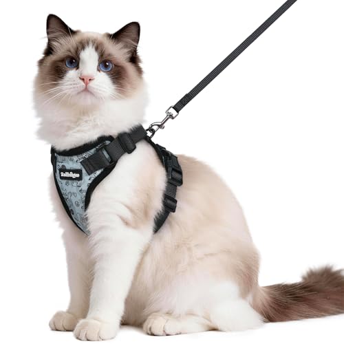 Image of rabbitgoo Cat Harness and Leash Set, Escape Proof Vest, Doodle Gray | Soft Breathable Mesh, Easy Adjustable Fit, Snap Buckles, Sturdy Clip, Reflective Strips, for Medium to Large Cats Walks, M