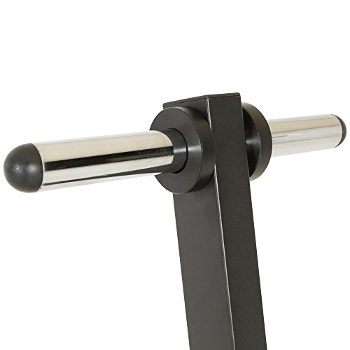 Fitness Reality Olympic Weight Tree/Plate Rack/Bar Holders/Chrome Storage Posts, 1000 lb