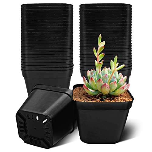 WAIZHIUA 50Pcs Plant Flower Pots 10cm Plastic Square Plant Nursery Pots Small Flower Plant Container for Succulent Fruit Vegetable Seedlings Transplanting