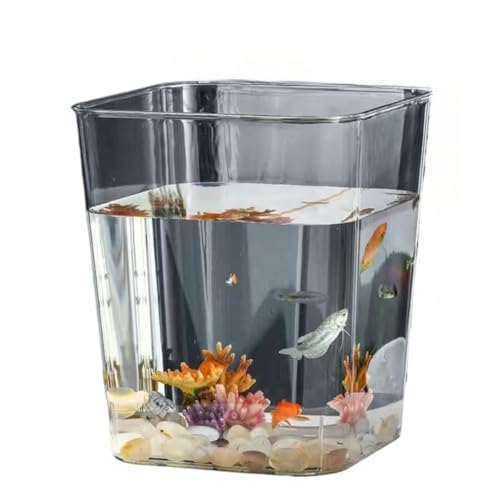 Dlwk eʓAN{E31.5 / 22 / 25cmfXNgbvԊwIȐ_J^NkAԕr̐`h~ (25x28.5cm)