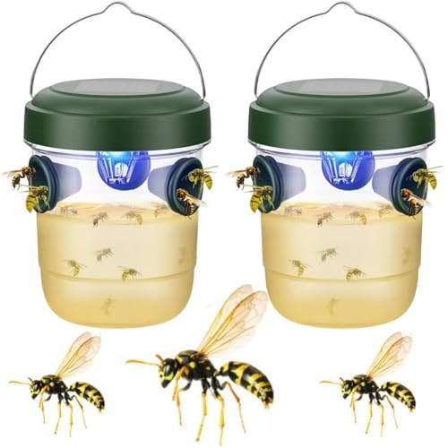 Alula777 Trappola per calabroni asiatiche e vespe per esterni, doppia entrata con selettività, 2 trappole sospese riutilizzabili per giardino/balcone, compatibile con bottiglia di plastica domestica