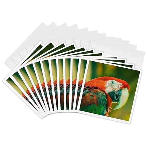 Cartes de vœux perroquet exotique 3dRose Gc_317136_2 lot de 12 format 15,2x15,2 cm