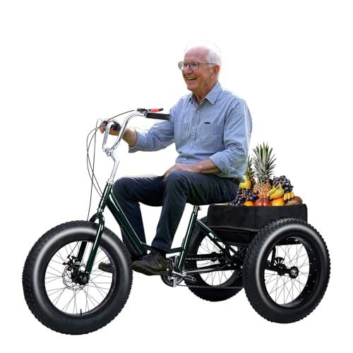Masiunoz Fat Tire Tricycle for Adults with 450 lbs Capacity, 7-Speed, 20