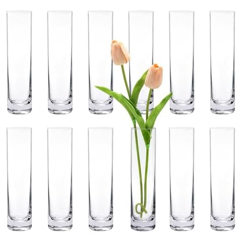 Glass Cylinder Bud Vases by ZHAOHAI Cover