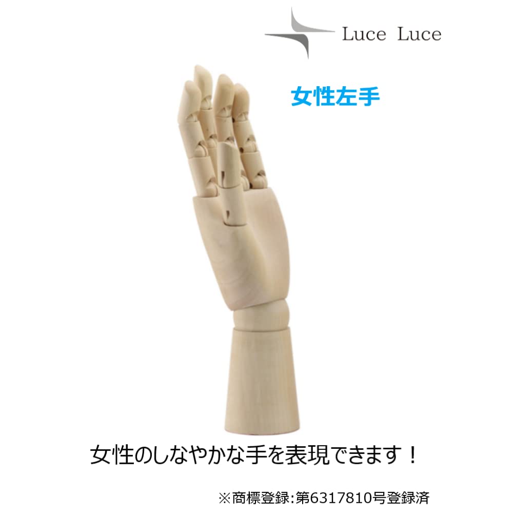 Amazon.co.jp: LuceLuce ハンド マネキン ハンドモデル デッサン