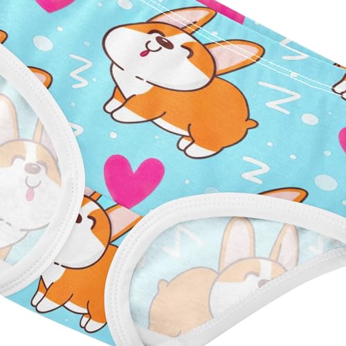 Toddler Underwear Floral 2t Cotton Panties Little Girl Flower Briefs Girls Undies Cute Cartoon Corgi Dogs Light Blue4