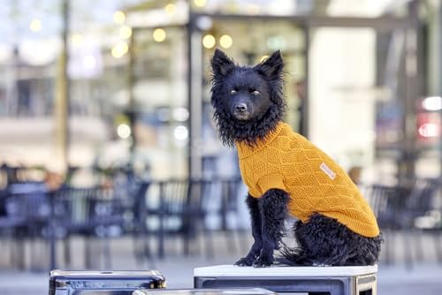 Wolters Strickpullover Diamond | Hundepullover für kühle Tage | Farbe Fancy-Orange - Gr. 30 (Rückenlänge 28-30 cm)
