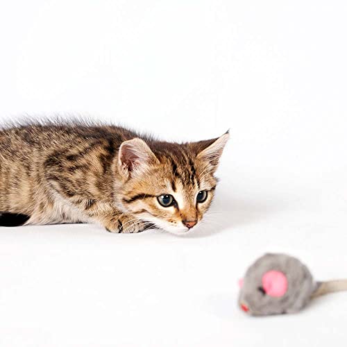 Sheba Perfect Portions Premium Cuts In Gravy Cat Food 4 Flavor 8 Can Sampler, (2) Each: Bistro Chicken Alfredo, Tuna, Salmon, Chicken (2.6 Ounces) - Plus Catnip Toy And Fun Facts Booklet Bundle #TOP6