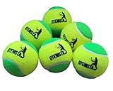 BOLAS DE TENIS ESTAGIO 1 INFANTIL O TENISTA 6 UNIDADES