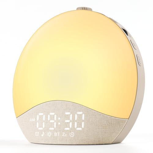 ecozy Sunrise Alarm Clock for Bedroom, White Noise Sound Machine, 26 Soothing Sounds, 17 Night...