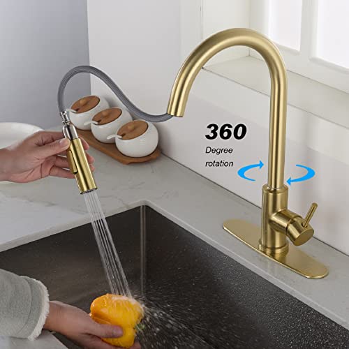 Robinet de cuisine à poignée unique anti-gaspillage d'eau - 3