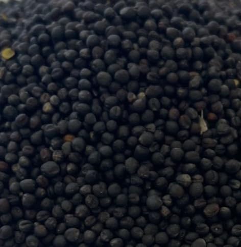 Black Rape Seed and Bird Seed 1Kg Green Manure LGDS - Image 2