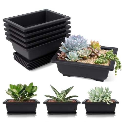 YCSM-IOU 6 Stück Bonsaischale Bonsai Schale mit...