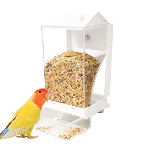 Comederos para pájaros limpios que evitan desperdicio en exteriores 2