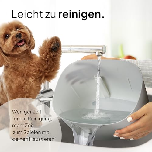 Pretty PAW® Trinkbrunnen für Hunde I Super leiser Hunde Trinkbrunnen mit 7 Liter Wassertank I BPA-freier Hundebrunnen mit Filter & LED I Leicht zu reinigender Dog Wasserspender