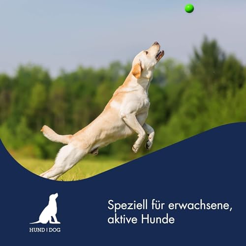 DR.CLAUDER’S - Basic Nature Energy | Trockenfutter für aktive, ausgewachsene Hunde zur Unterstützung der Vitalität durch Proteine und Ballaststoffe. Alleinfuttermittel im Beutel | 20kg