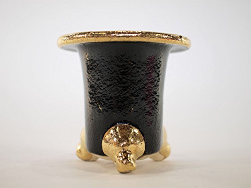 楽風フチ金オモト鉢8号 楽風フチ金オモト鉢8号