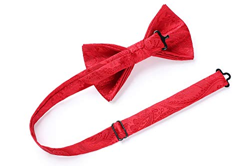 Image of HISDERN Bow Ties for Men Paisley Floral Pre-tied Bowtie Pocket Square Set Men's Formal Bow Ties Wedding Party