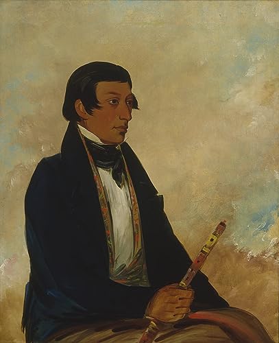 Prints toile peinture murale Petit chef George Catlin, déco salon abstrait