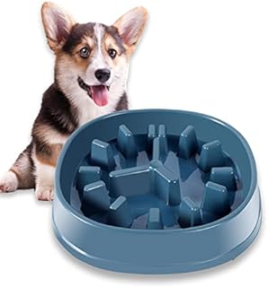 Slow Feeder Dog Bowl,Slow Eating Dog Bowls for Large and Medium Dog,Pet Feeding Bowl Interactive Puzzle Feeder to Prevent Bloat & Choking