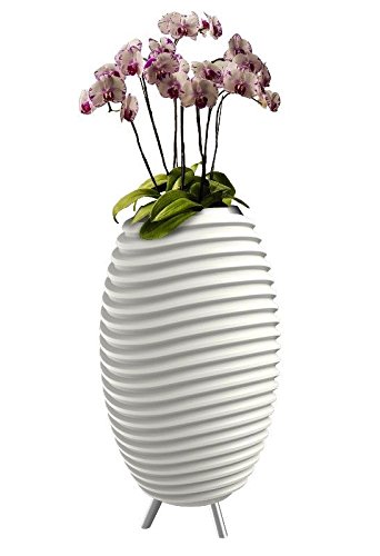 Synergy 35 PRO Enceinte multimédia portable à LED portable avec éclairage LED