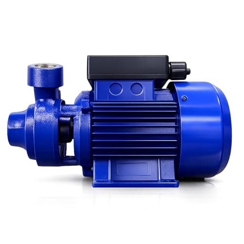 Bomba de Agua para Vivienda Riego y Jardin deAlta Presion y Capacidad 2000 l/h Electrobomba Periferica 0.5 Cv 230 V Cisterna Tanques Sistema Presion Superficie Hierro Fundido Compacta Solida - Fluvia