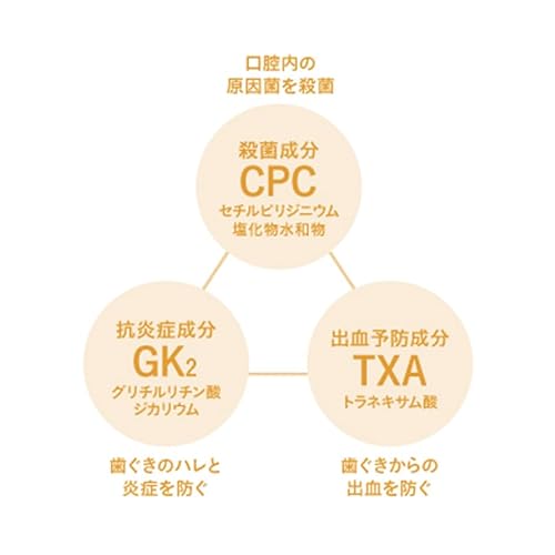 歯科医推奨 モンダミン ハビットプロ 1080ml HABITPRO 洗口液 マウスウォッシュ 子供 ノンアルコール 天然ミント アース製薬株式会社 医薬部外品 薬用 洗口液 X-9N 歯肉炎予防 出血予防 歯垢付着予防 口臭予防 口中浄化・爽快 (1本)